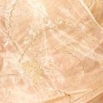Ivory And Gold Titana Tissue Saree | All Over Aari, Katori & Zardozi Jaal Work | Jaipurio Luxury Collection